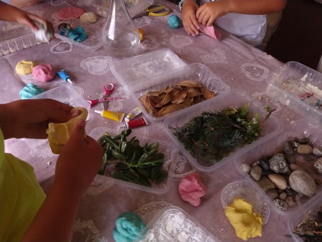Laboratorio Il bosco di Riccio - foto 4